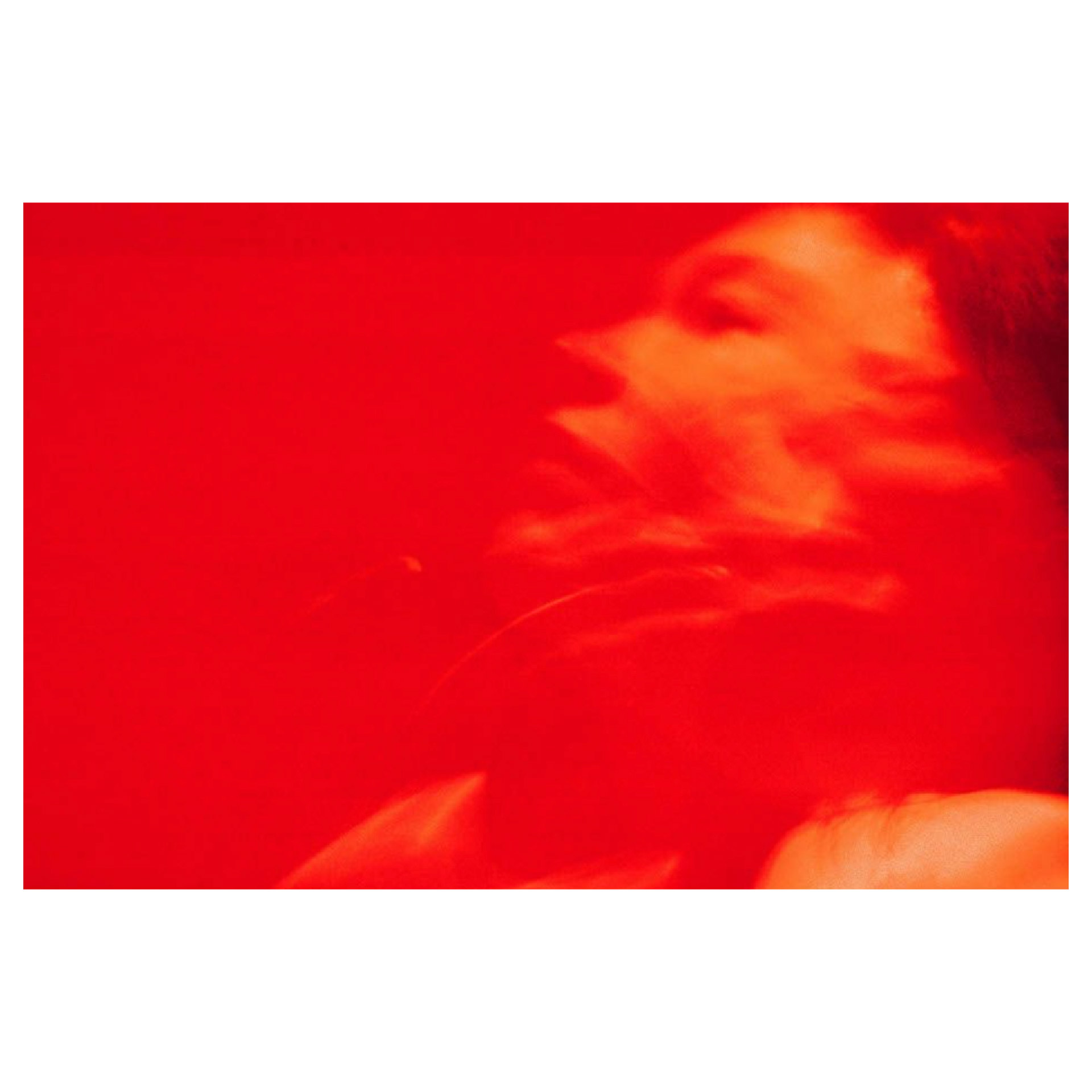 Wing Shya - Untitled