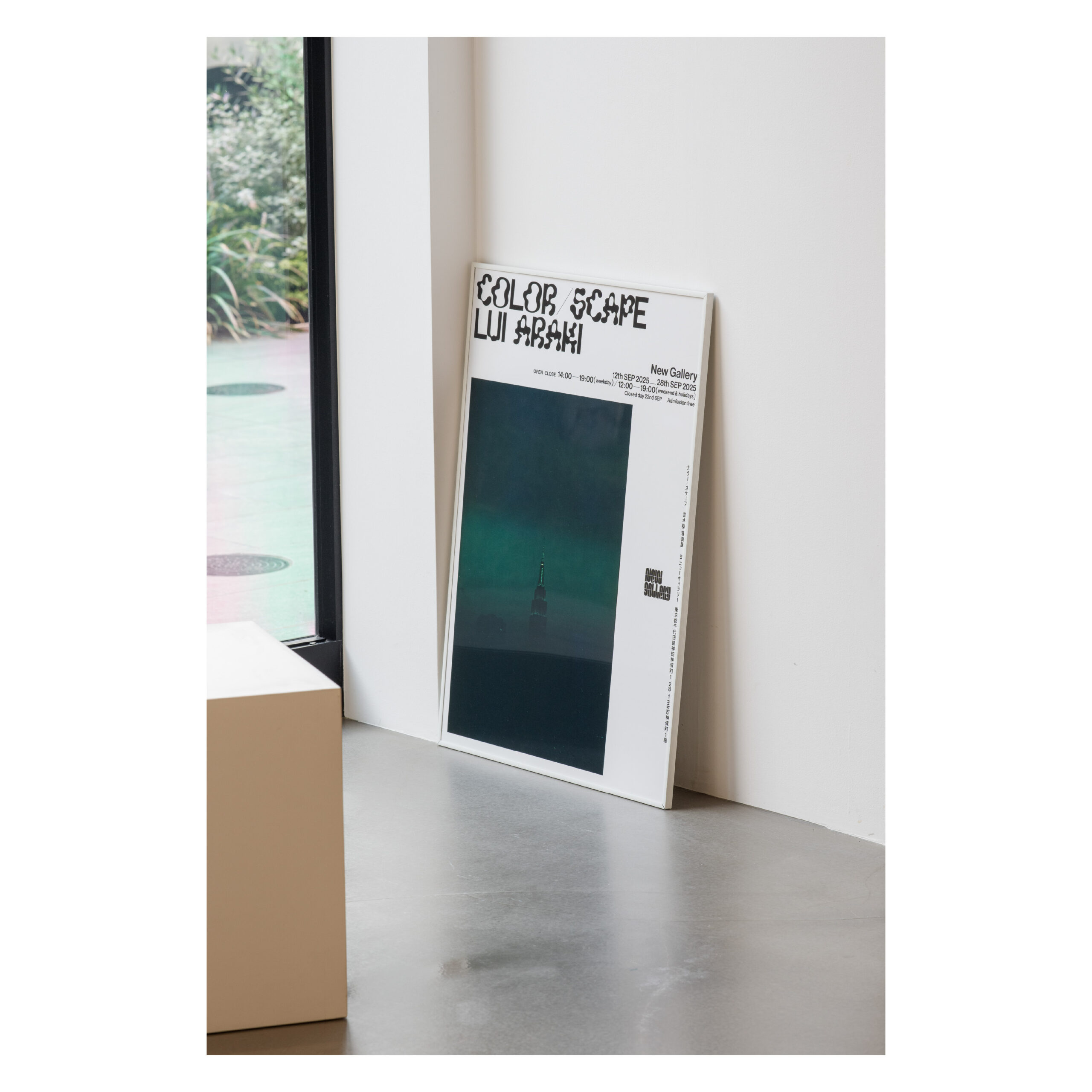 Lui Araki - Color / Scape Poster