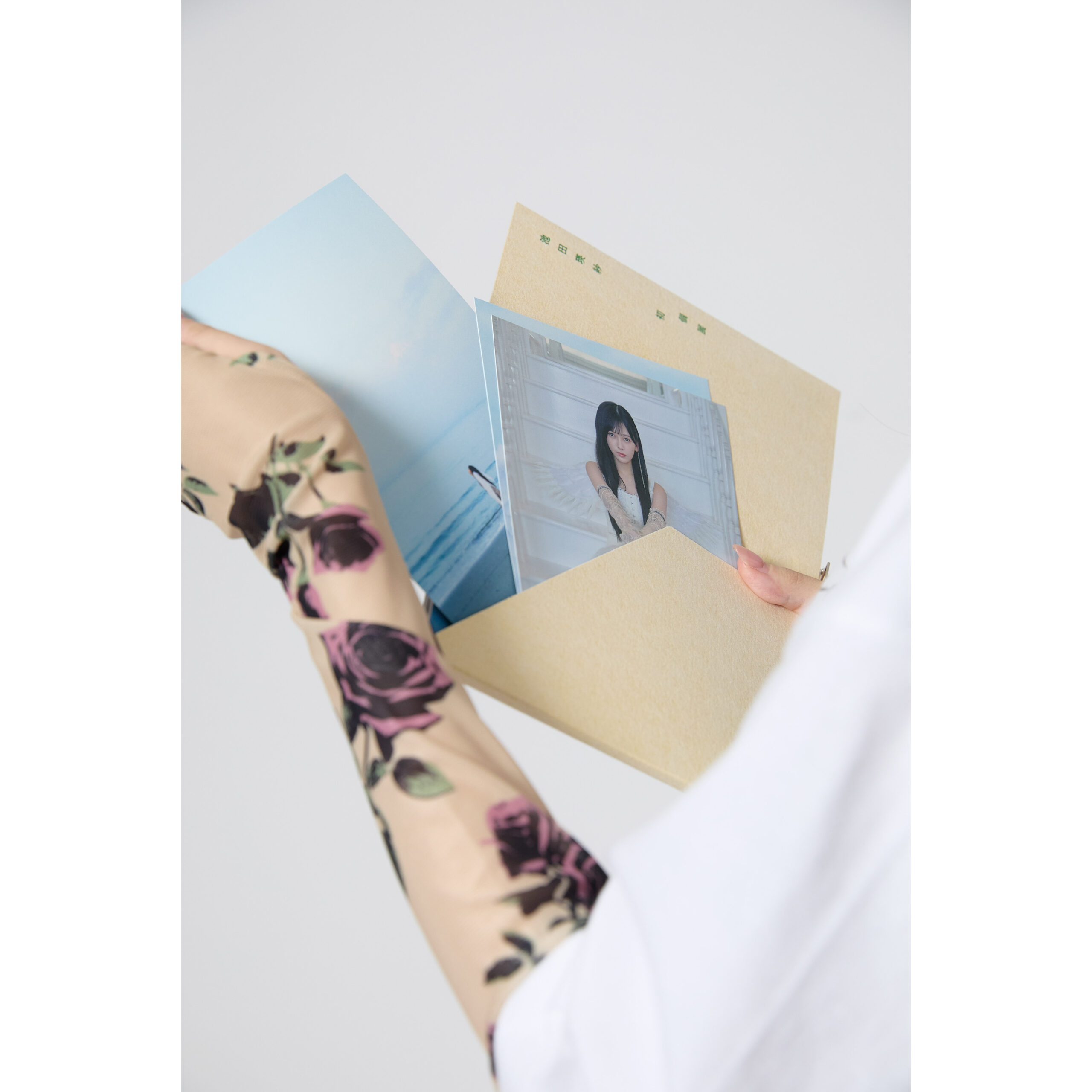 Wings:あひるの夢 カードセット