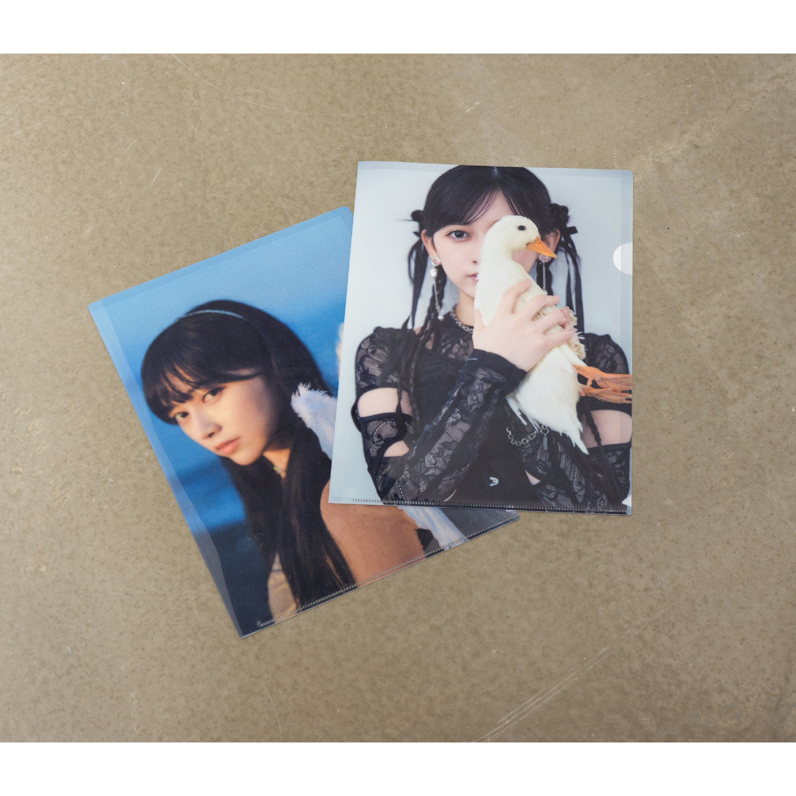 Wings:あひるの夢 クリアファイルセット