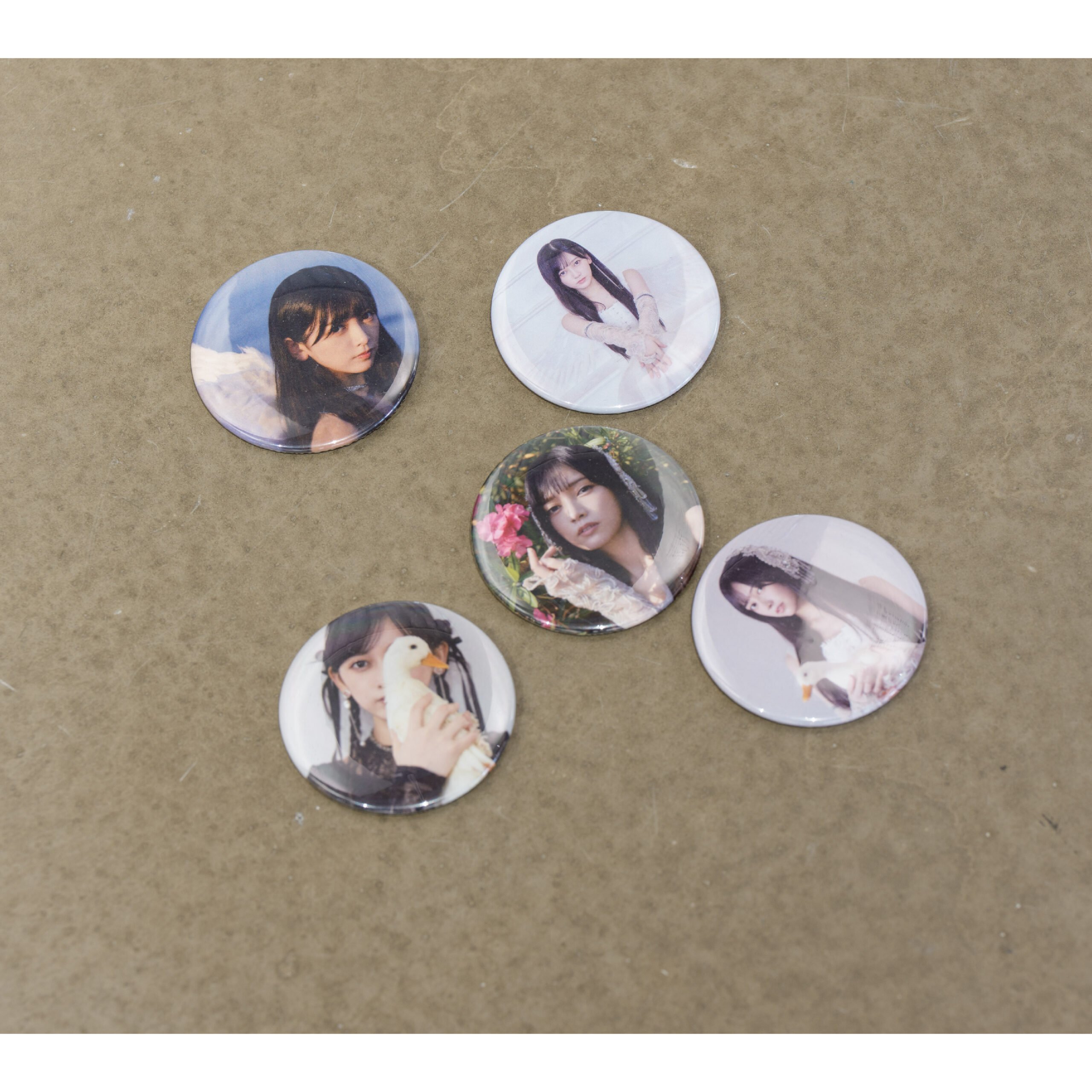 Wings:あひるの夢 缶バッジ