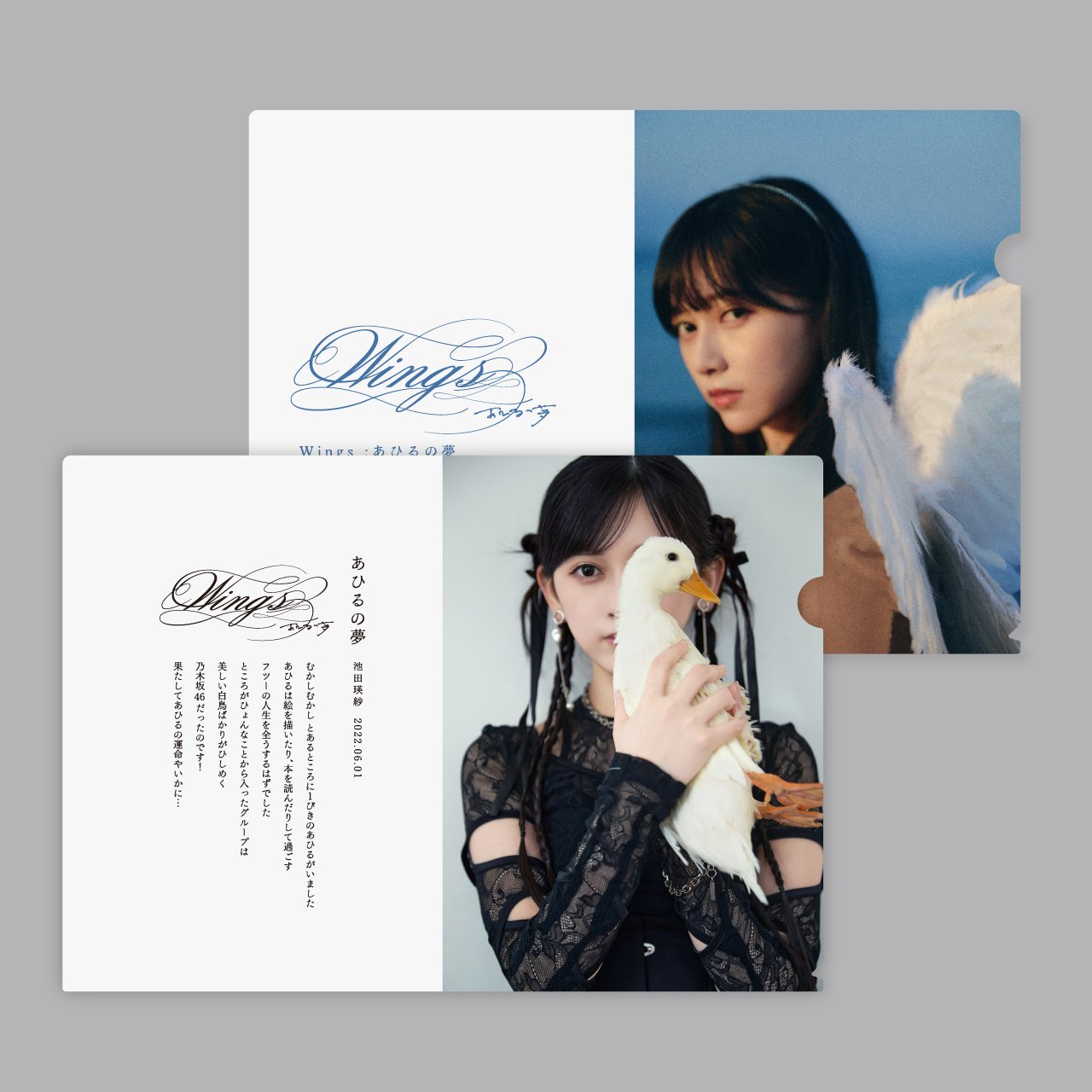 Wings:あひるの夢 クリアファイルセット