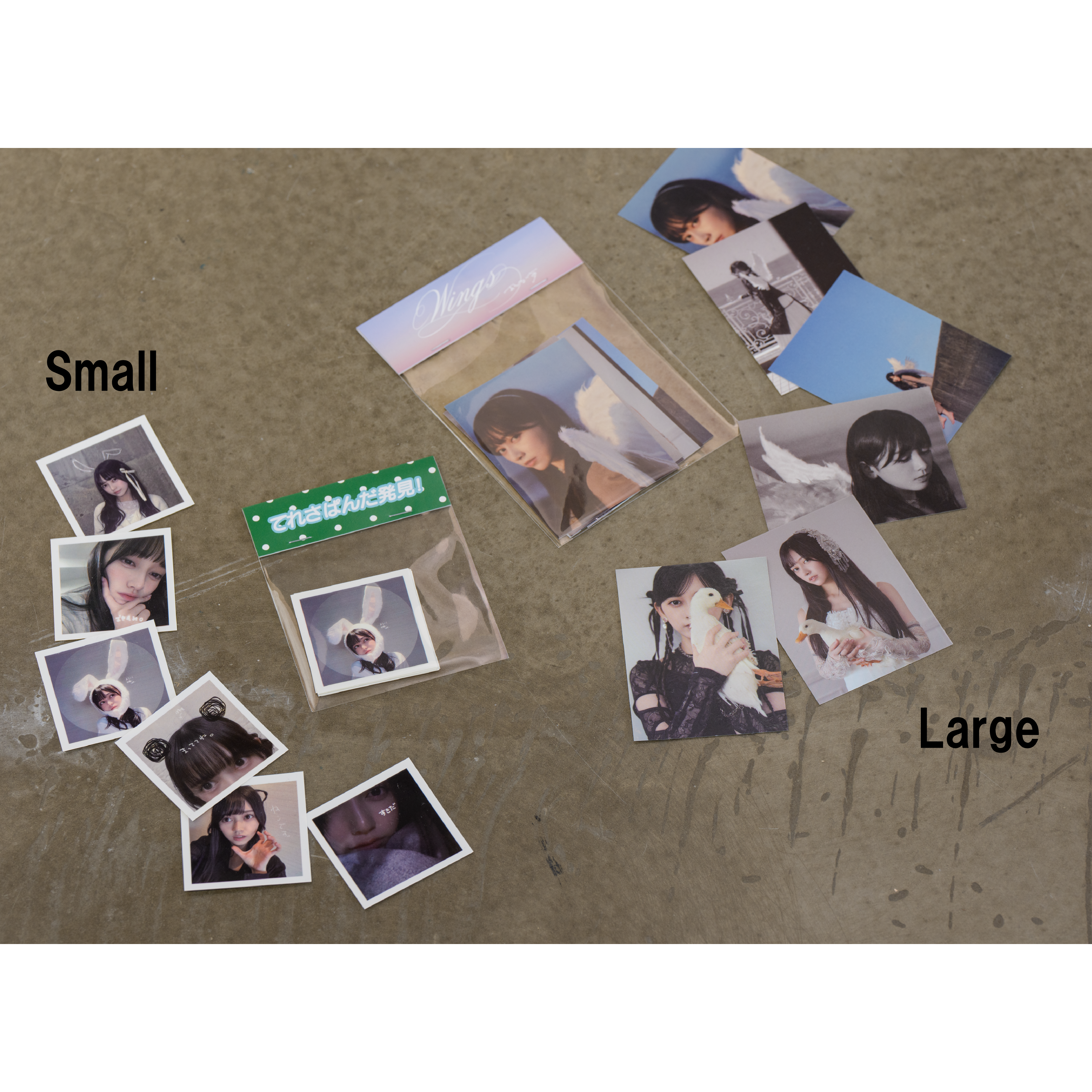 Wings:あひるの夢 ステッカーセット